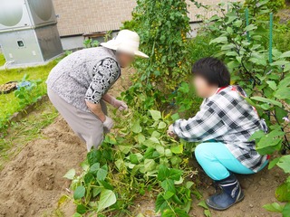 ブログ用野菜収穫2.jpg